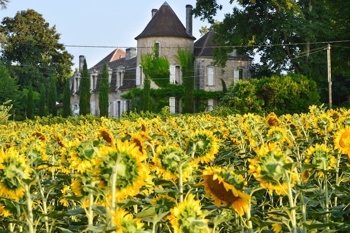 Chateau Guygaudie - Ribérac
