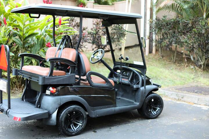 Bright & Airy Lahaina Condo – Walk to Beach! gallery image 3