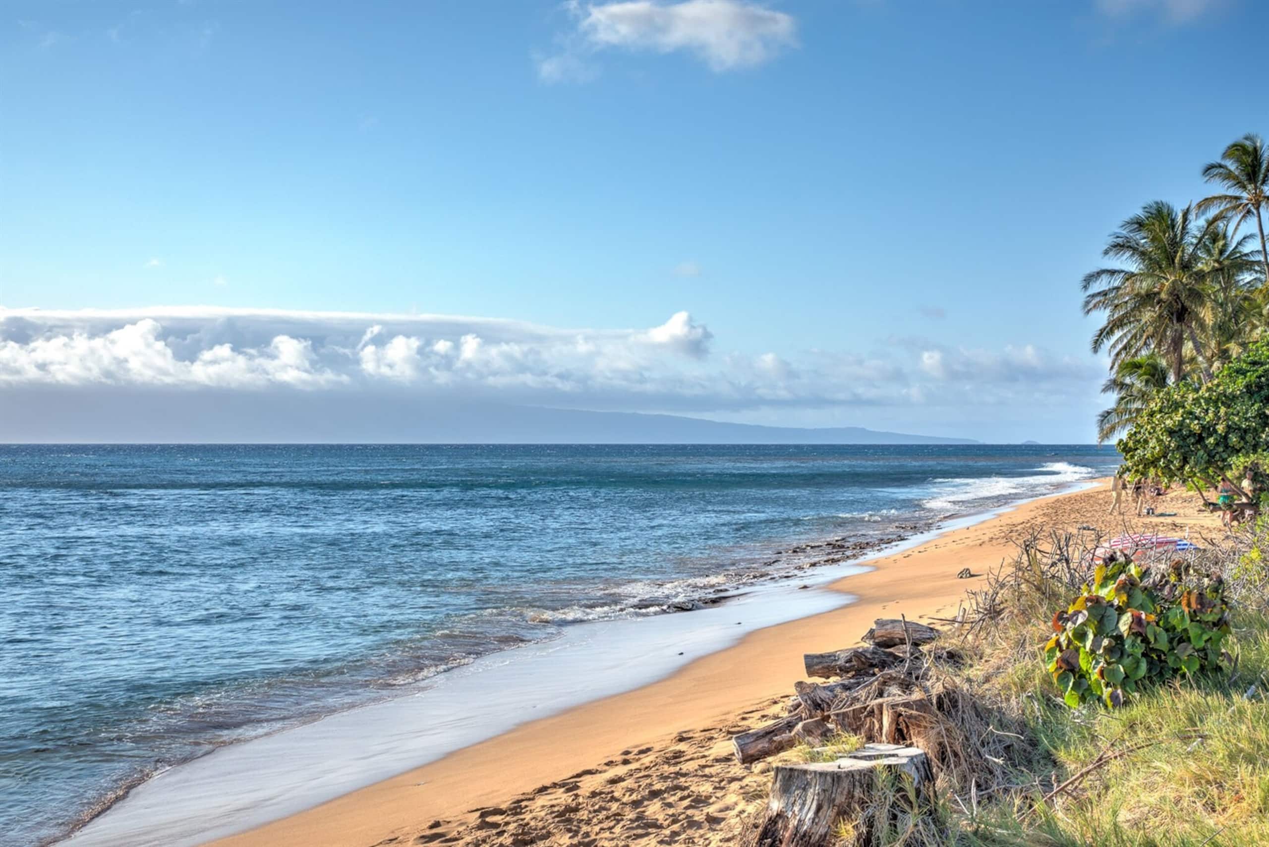 Condo in Lahaina · ★4.95 · 2 bedrooms · 3 beds · 2 baths - Image 64
