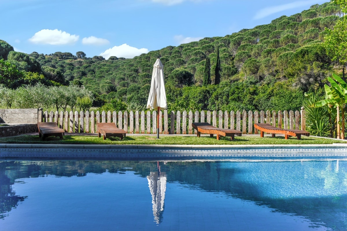 The shared pool is surrounded by a wooden fence, featuring several loungers positioned on the grass. A large umbrella offers shade, while the backdrop showcases lush green hills under a clear blue sky.