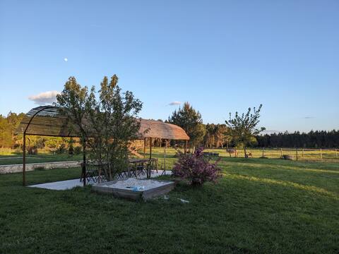 Peaceful domain close to surfing spots and wineries
