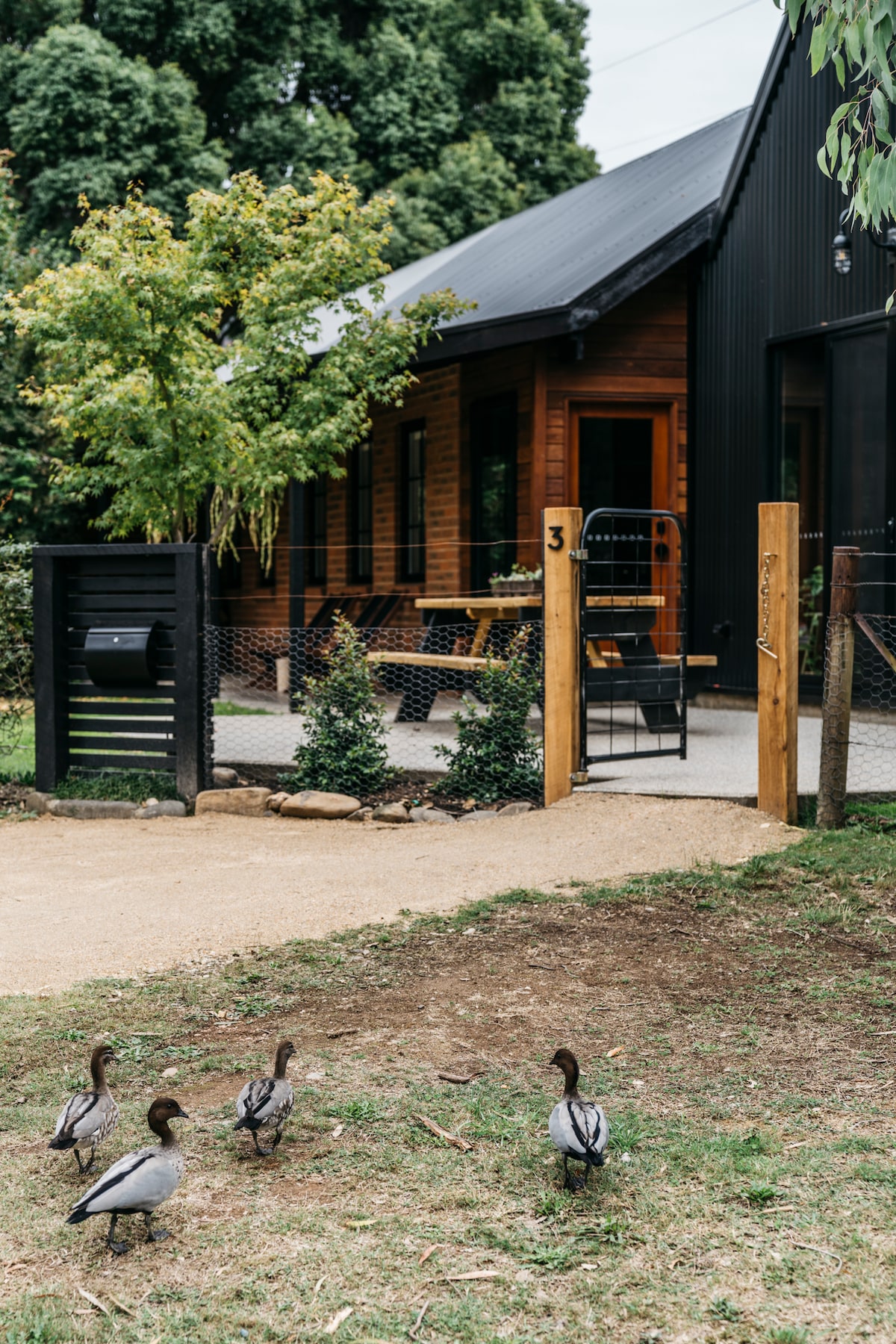 A semi-detached black and wooden home is shown, featuring a welcoming entrance and a well-maintained garden area. Four ducks can be seen in the grassy foreground, with outdoor seating visible on the porch. The setting presents a blend of natural and architectural elements.