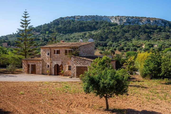 Son Peris gallery image 5