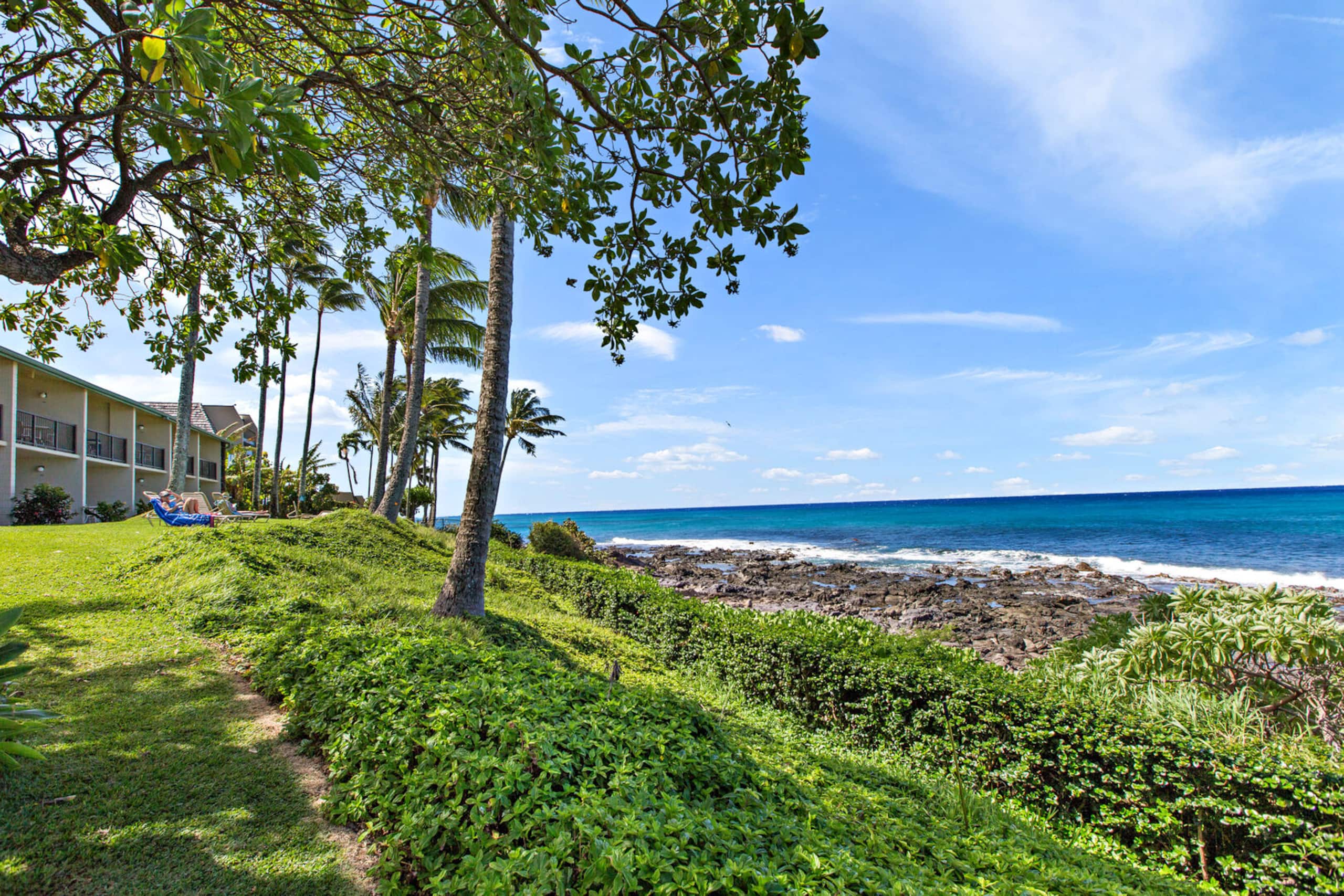 Condo in Lahaina · ★4.82 · 1 bedroom · 1 bed · 1 private bath - Image 30