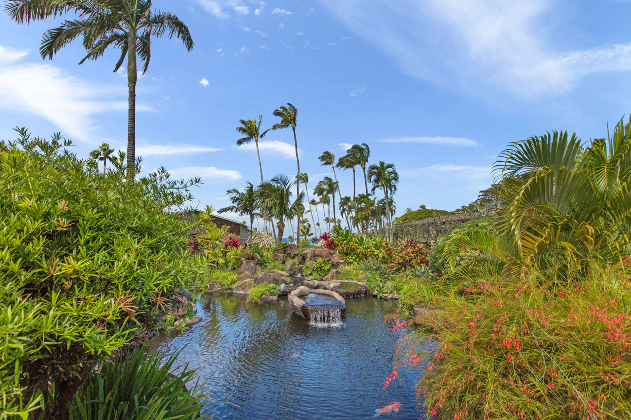 Condo in Lahaina · ★4.82 · 1 bedroom · 1 bed · 1 private bath - Image 22