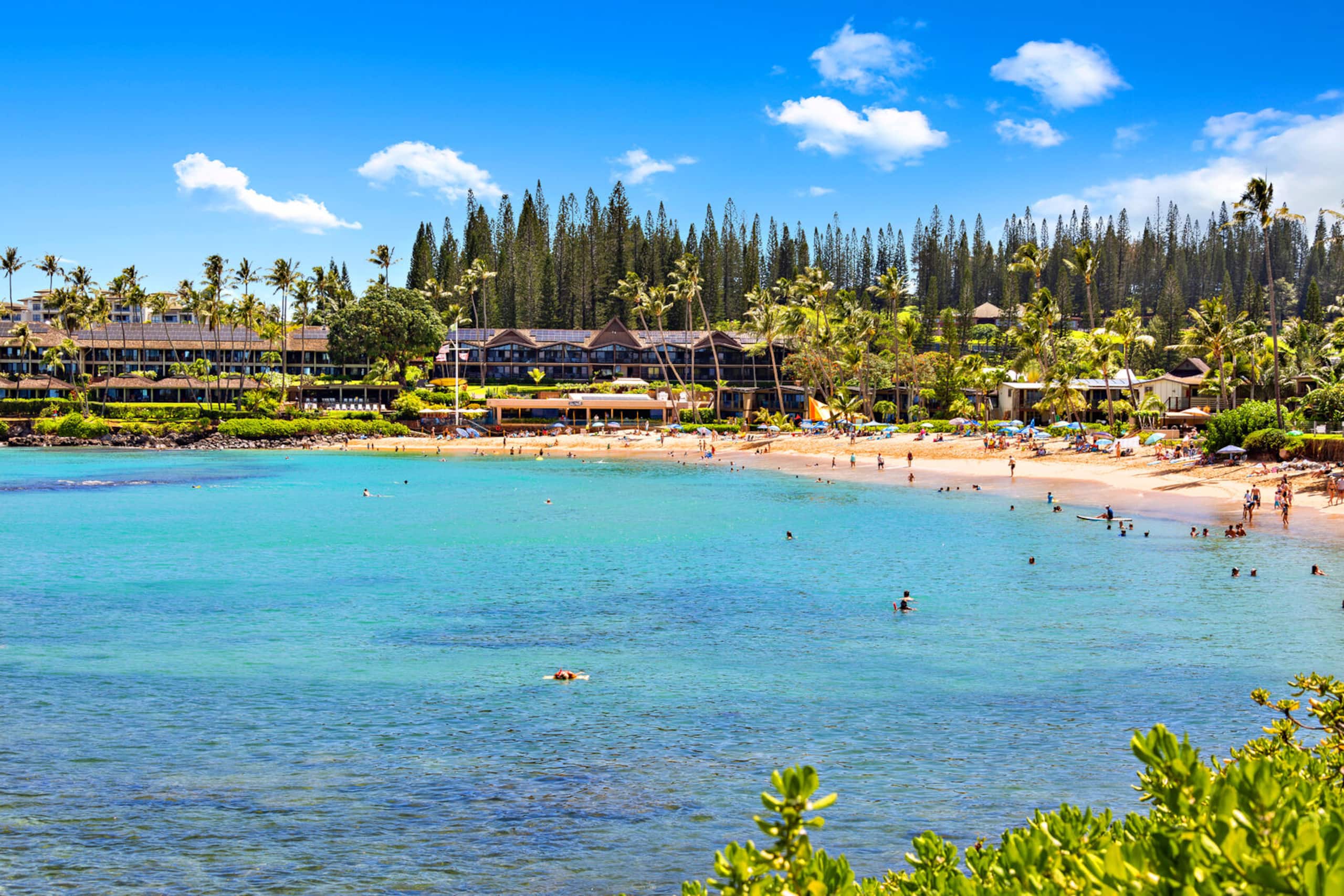 Condo in Lahaina · ★4.82 · 1 bedroom · 1 bed · 1 private bath - Image 36