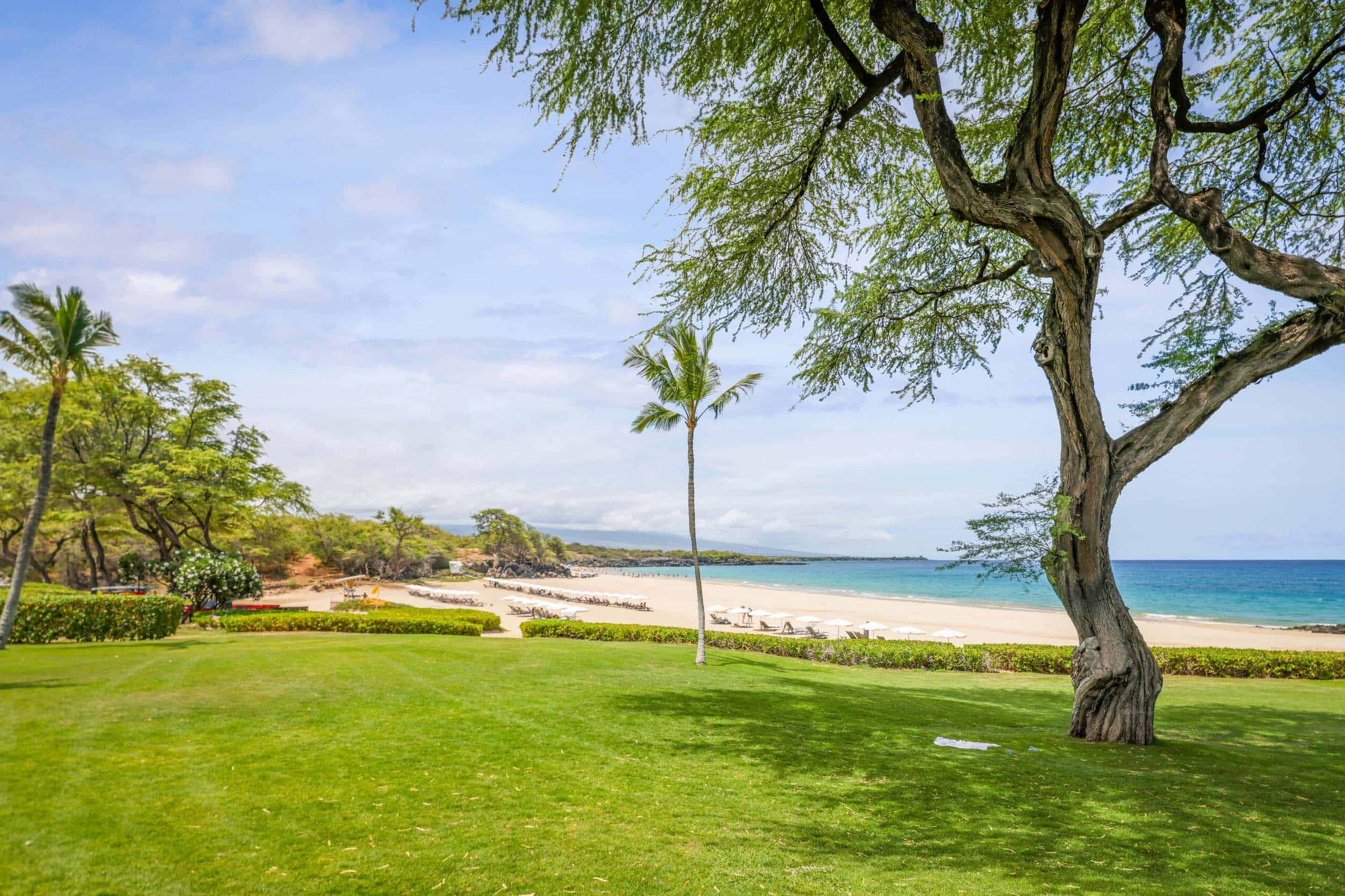 Condo in Waimea · ★5.0 · 2 bedrooms · 4 beds · 2 baths - Image 29