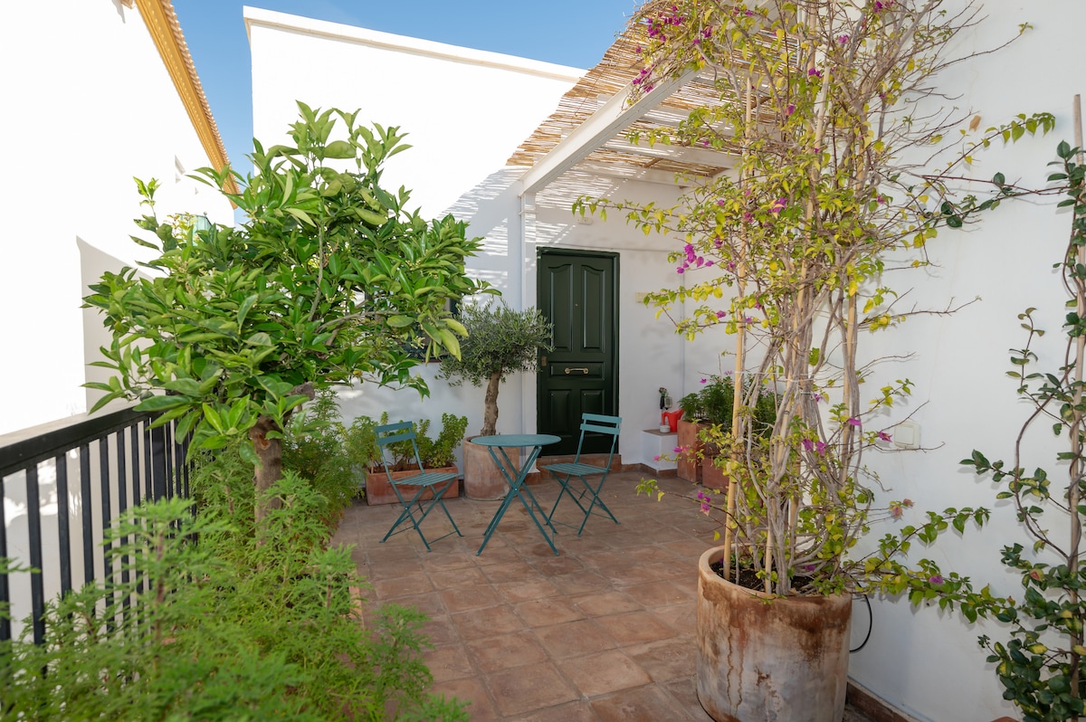 A private terrace is shown featuring a round table and two chairs, surrounded by greenery. Various Mediterranean plants and flowers are positioned in pots, enhancing the outdoor space. The entrance door is visible at the back, framed by a pergola providing partial shade.