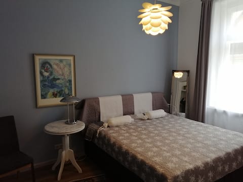Apartment in historic old building 2