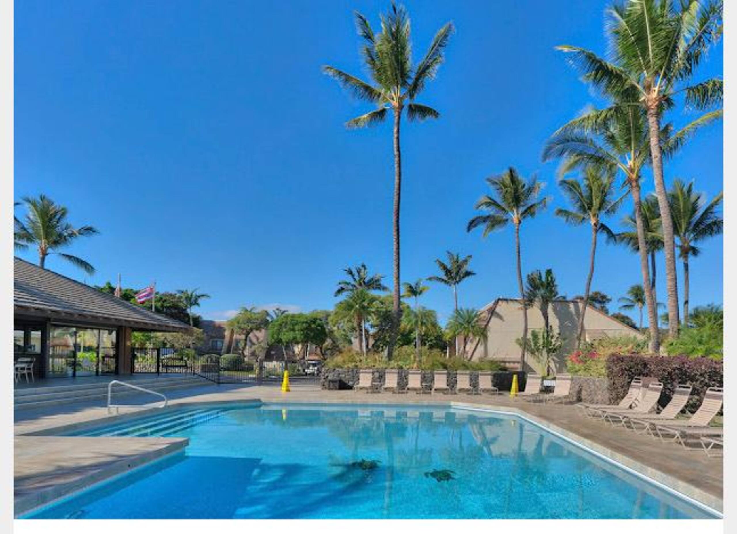 Amazing condo with pools and hotub across from the - Image 19