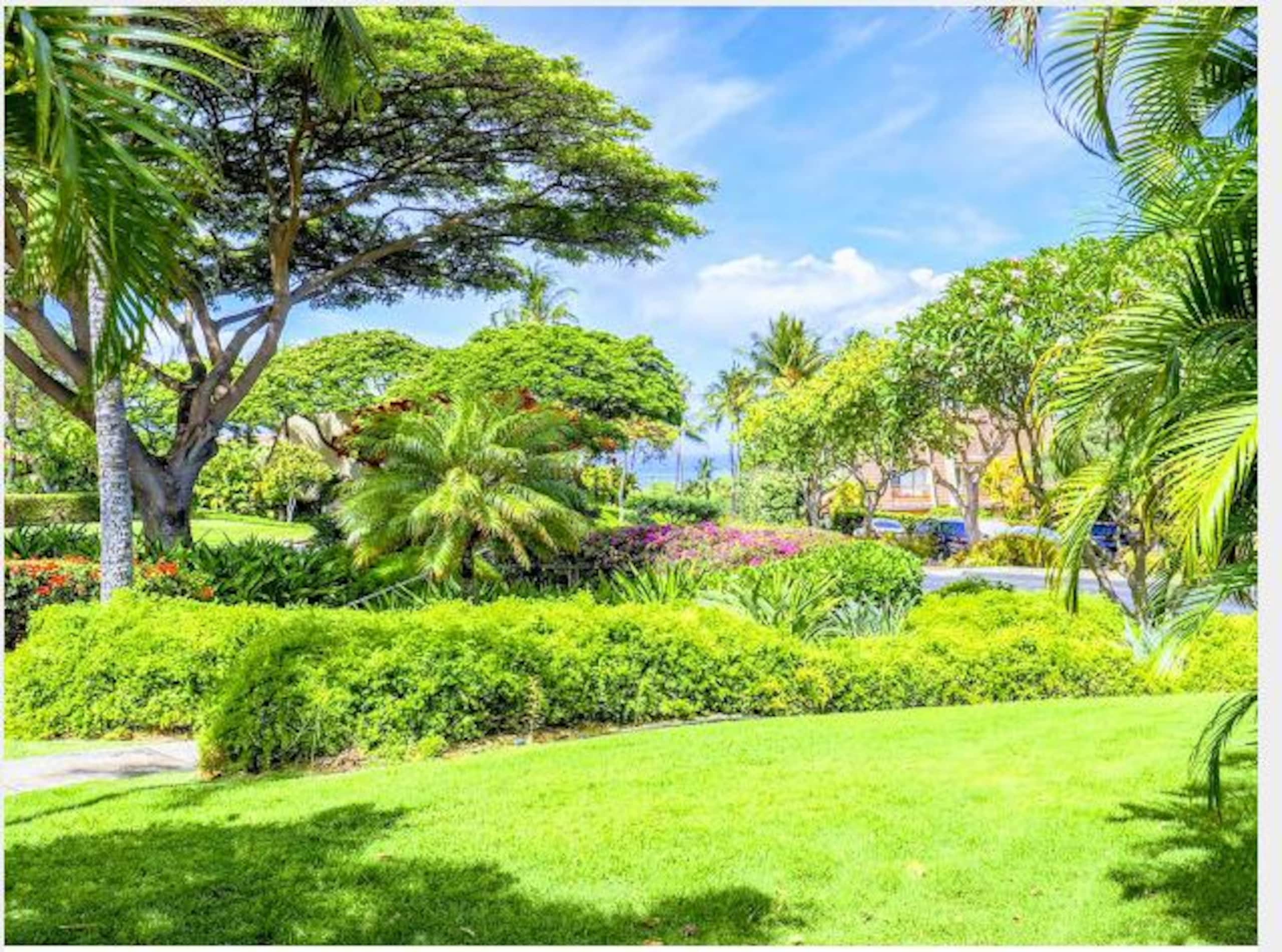 Beautiful 1 Bed 2 Bath Condo at Maui Kamaole - Image 6