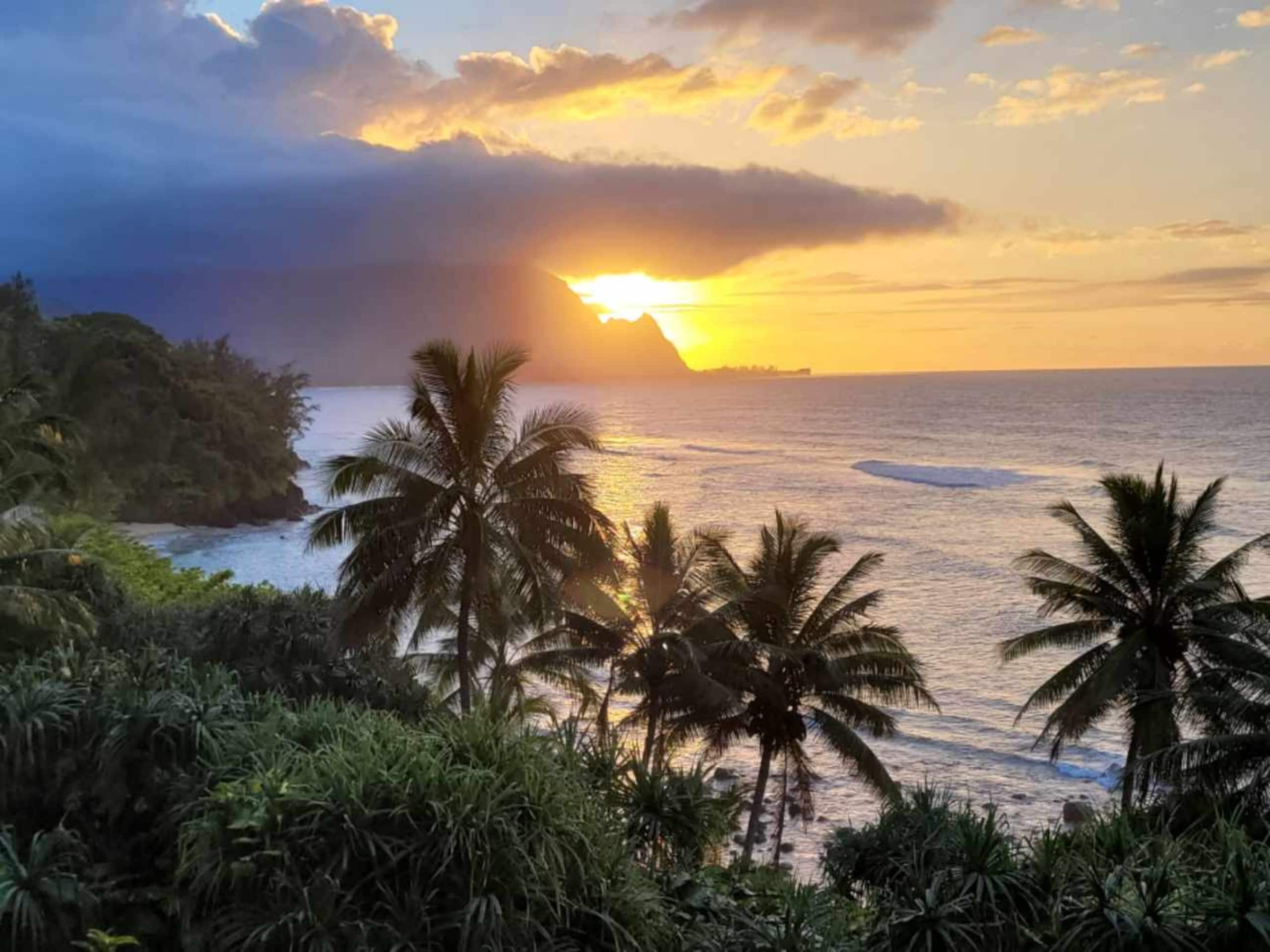 Condo in Princeville · ★4.96 · 2 bedrooms · 4 beds · 2 shared baths - Image 24