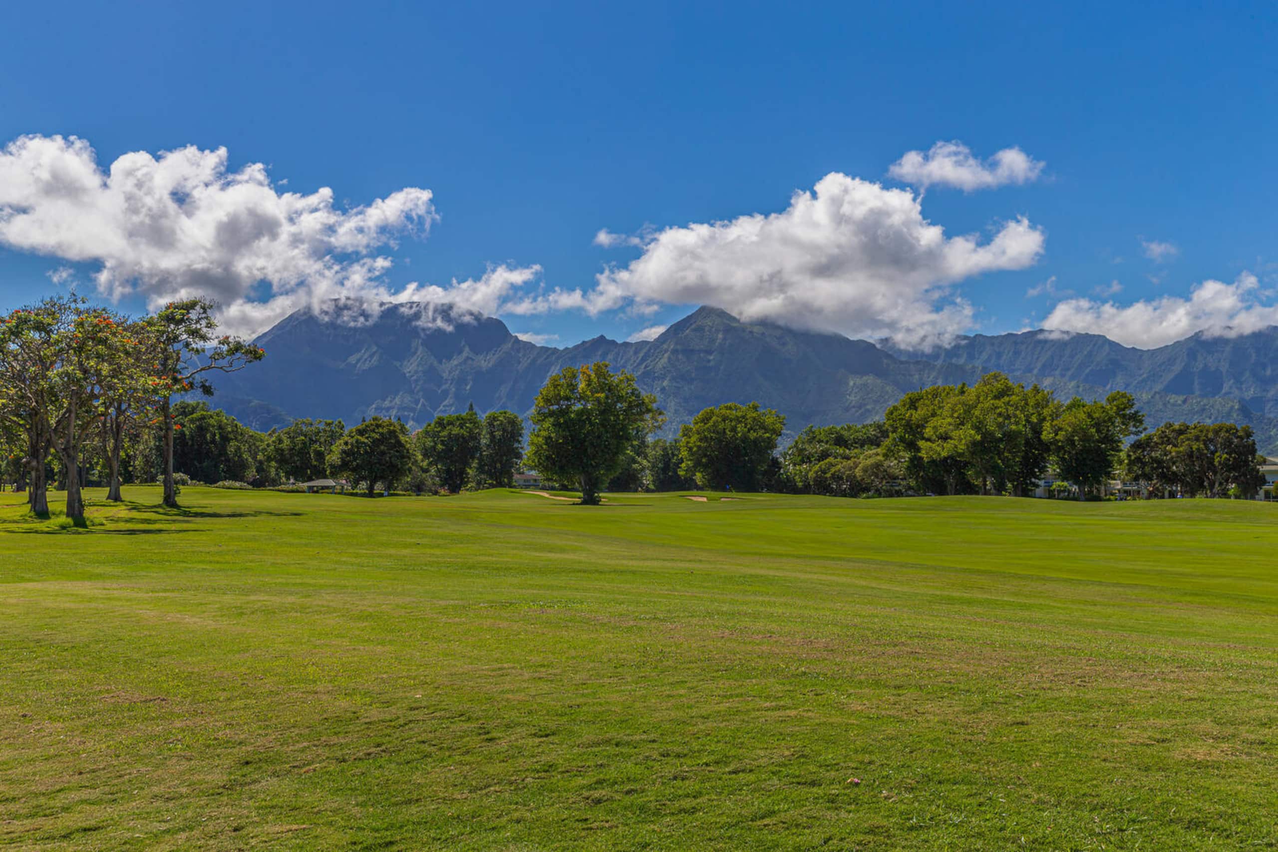 Condo in Princeville · ★4.96 · 2 bedrooms · 4 beds · 2 shared baths - Image 28