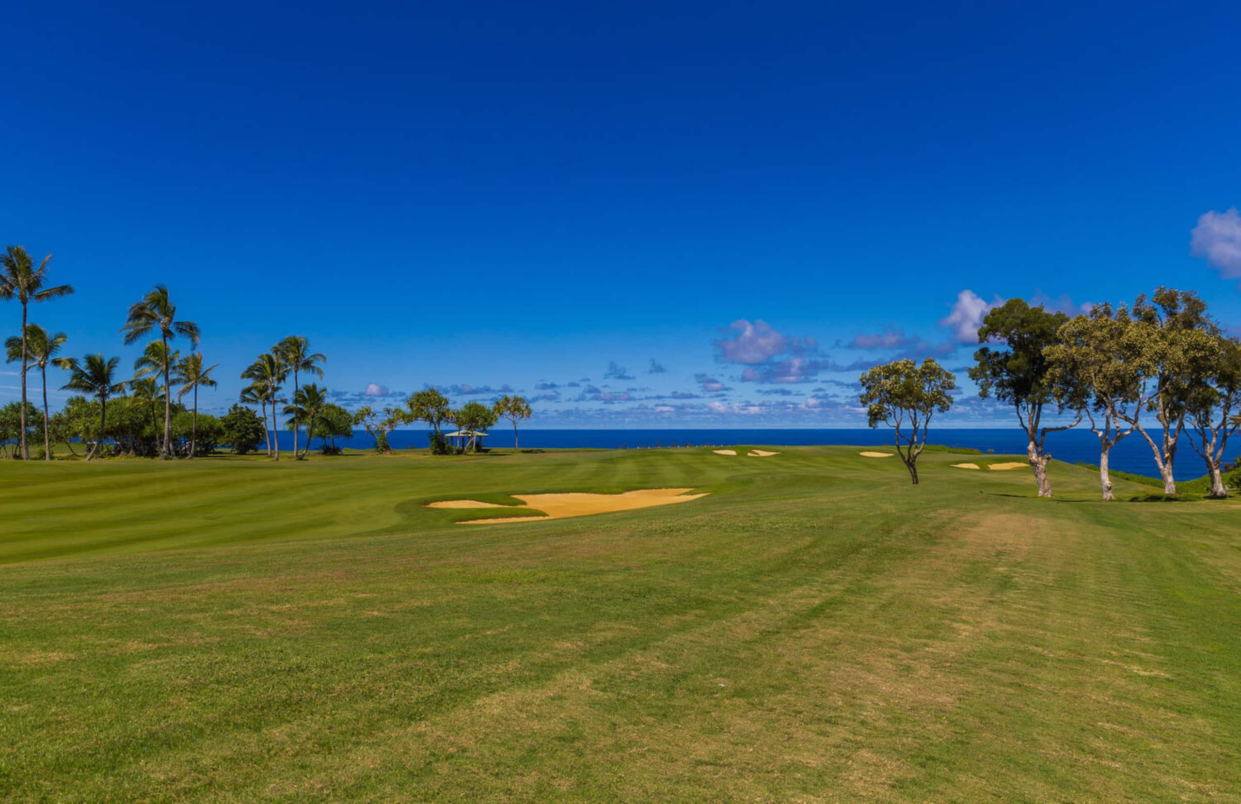 Condo in Princeville · ★4.96 · 2 bedrooms · 4 beds · 2 shared baths - Image 29