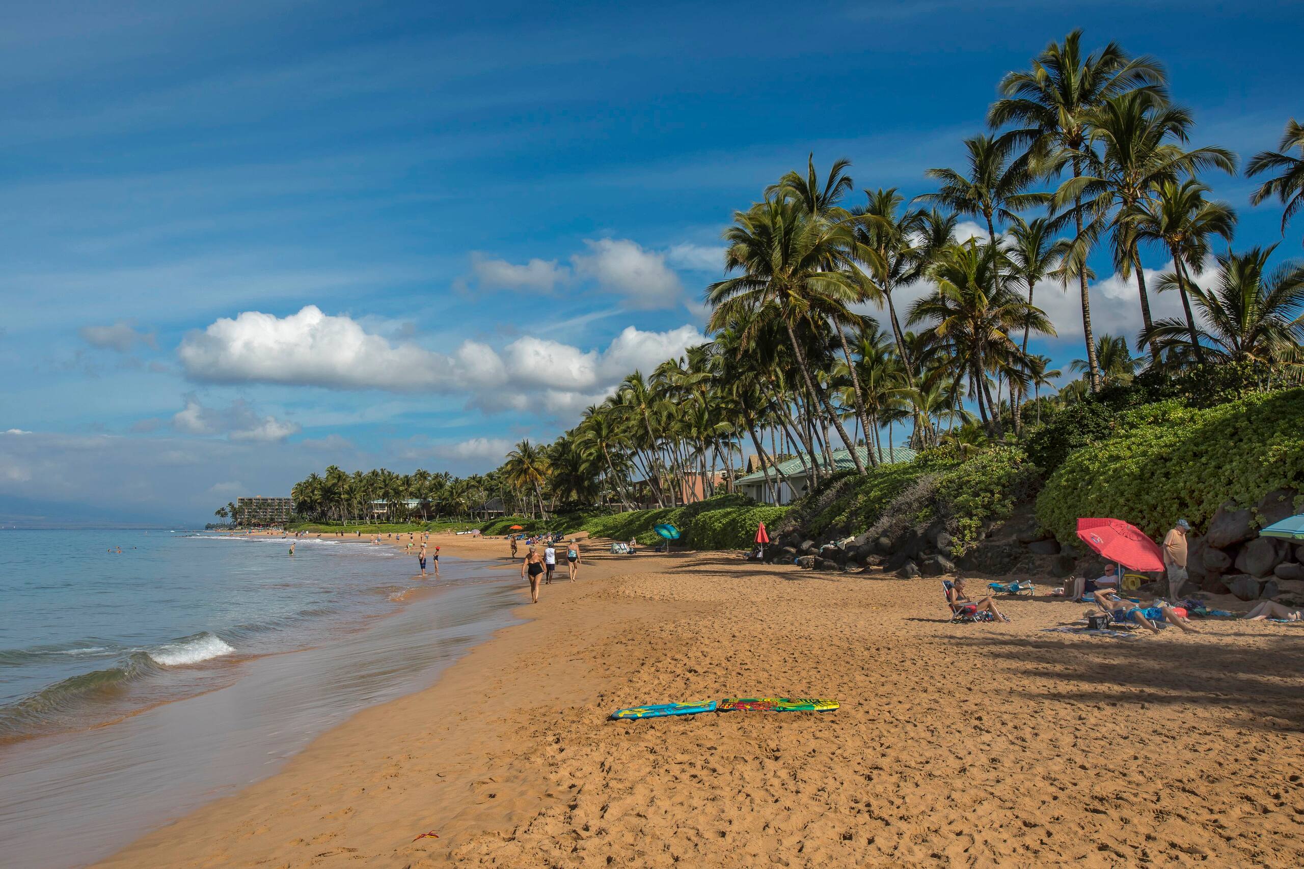 Condo in Kihei · ★4.8 · 1 bedroom · 2 beds · 1 bath - Image 54