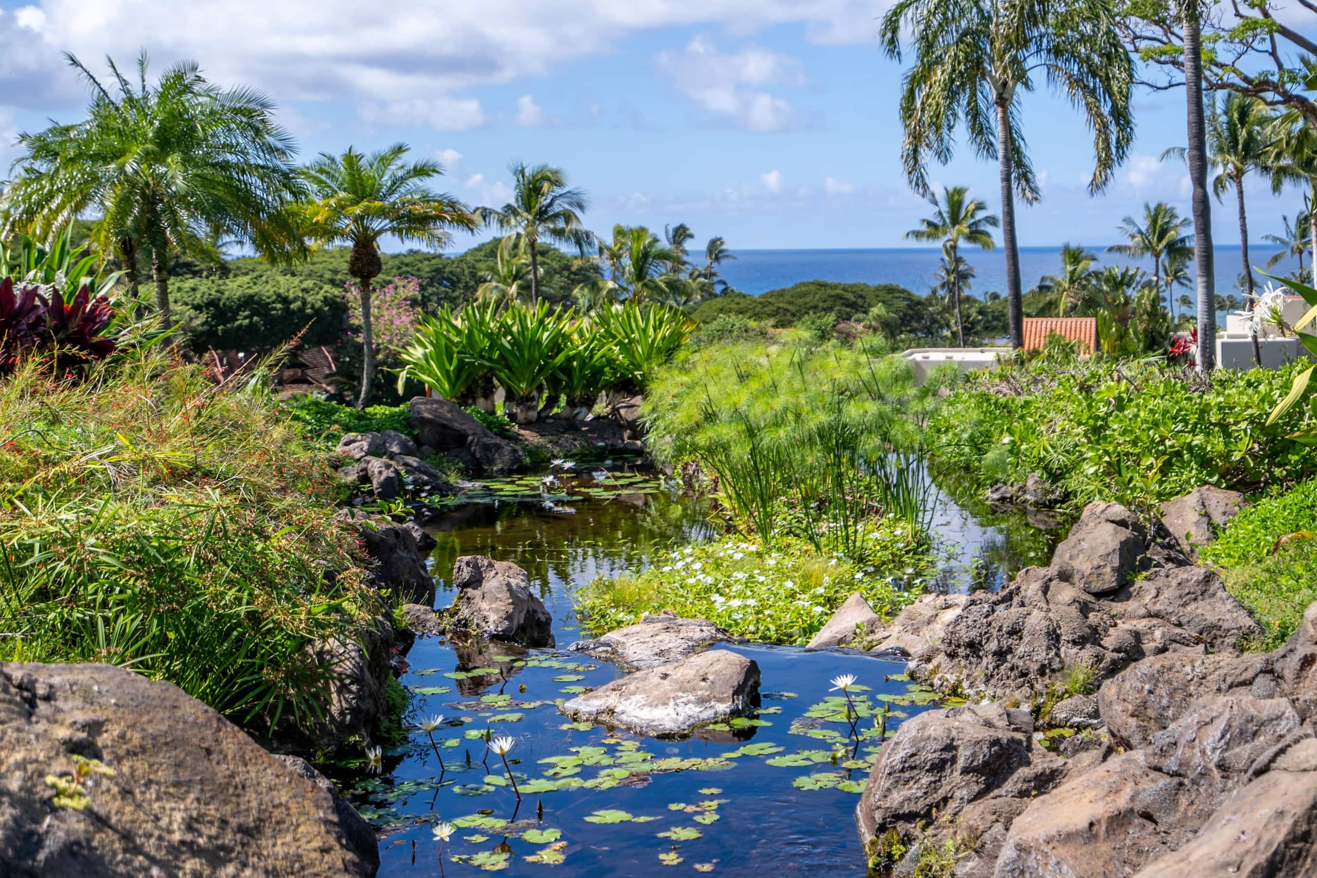 Condo in Wailea · ★4.6 · 2 bedrooms · 3 beds · 2 private baths - Image 40
