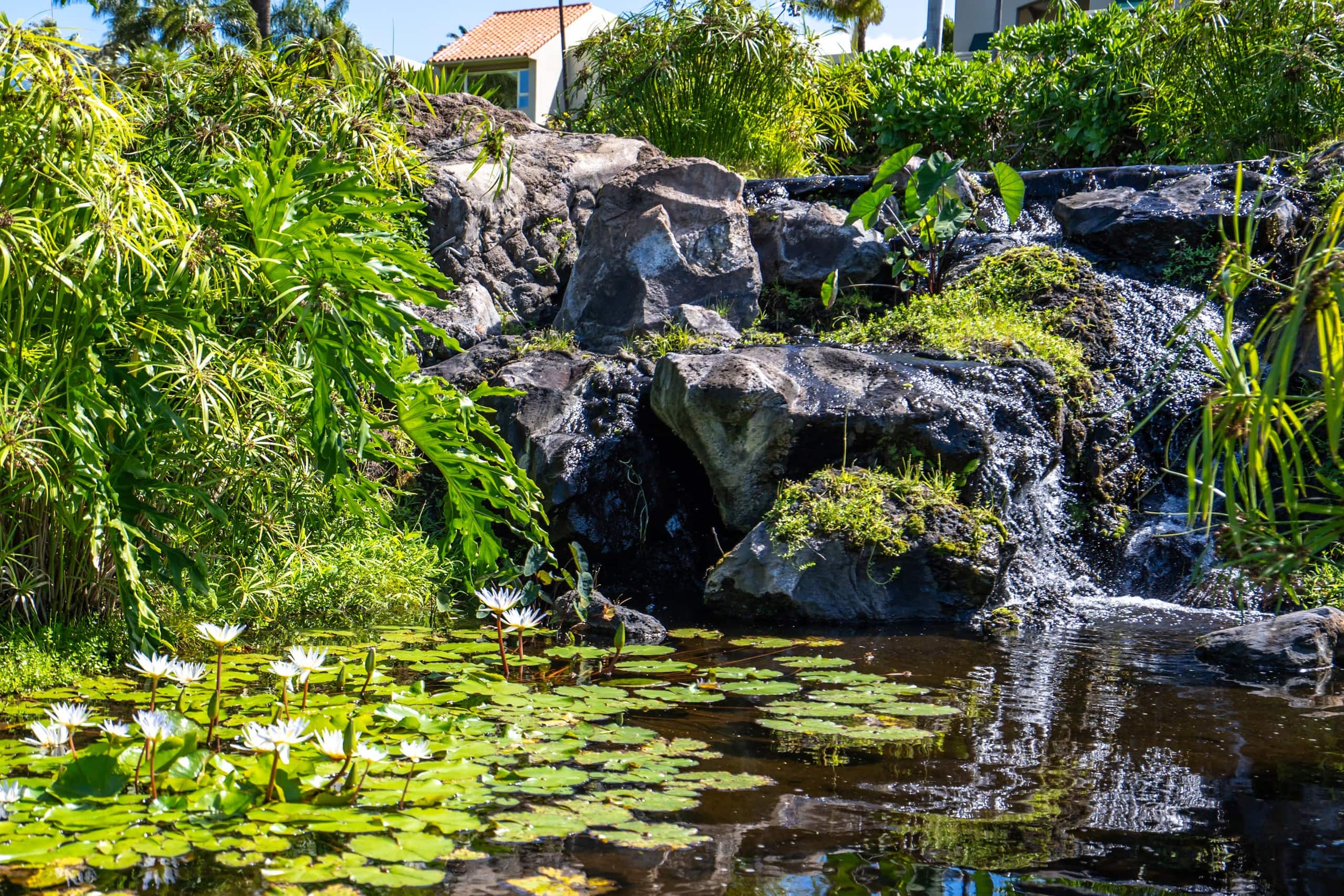 Condo in Wailea · ★4.6 · 2 bedrooms · 3 beds · 2 private baths - Image 36