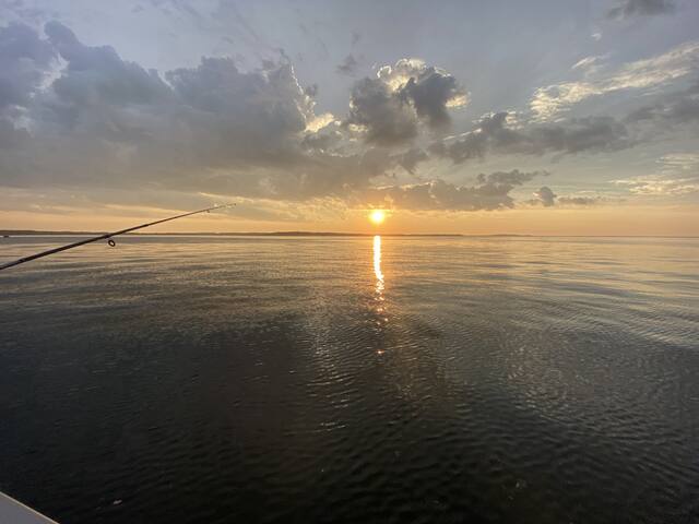 Boat, Golf, Ping Pong, Canoe, Fishing!