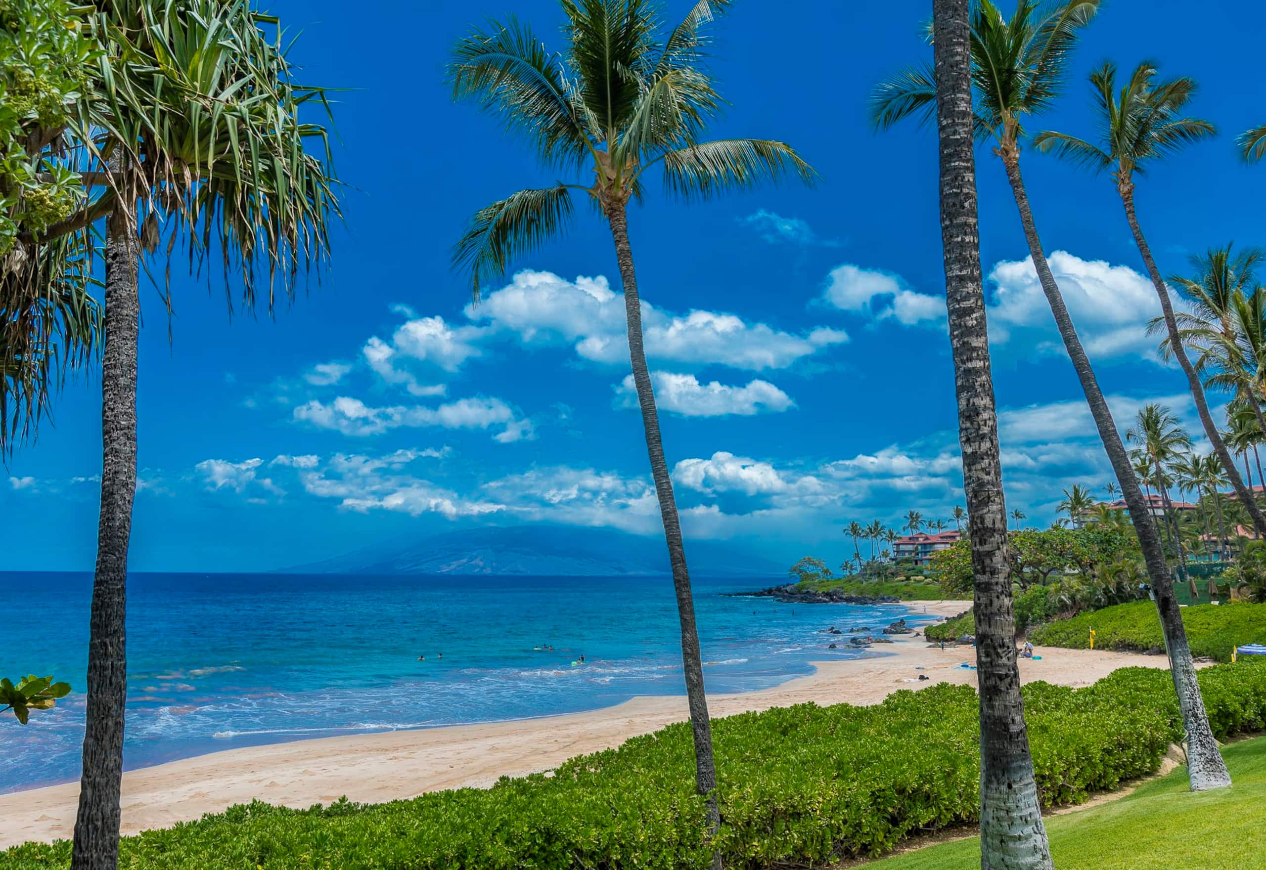 Condo in Wailea · ★5.0 · 2 bedrooms · 3 beds · 2 baths - Image 45