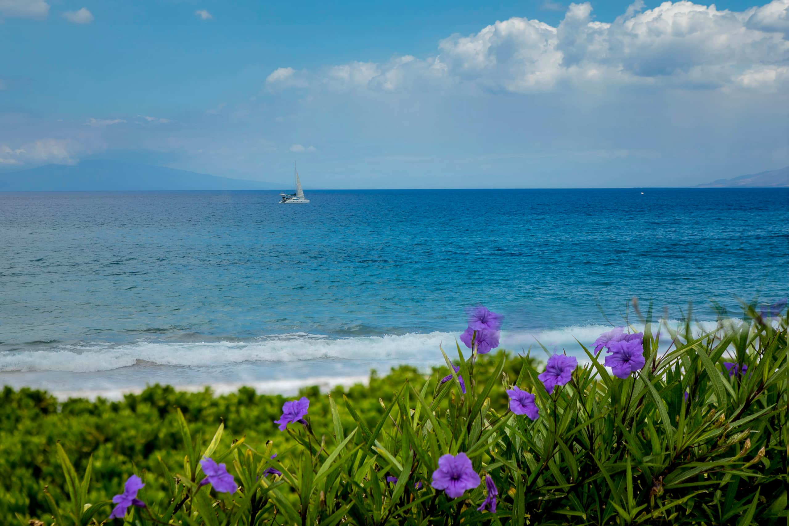 Condo in Wailea · ★5.0 · 2 bedrooms · 3 beds · 2 baths - Image 47