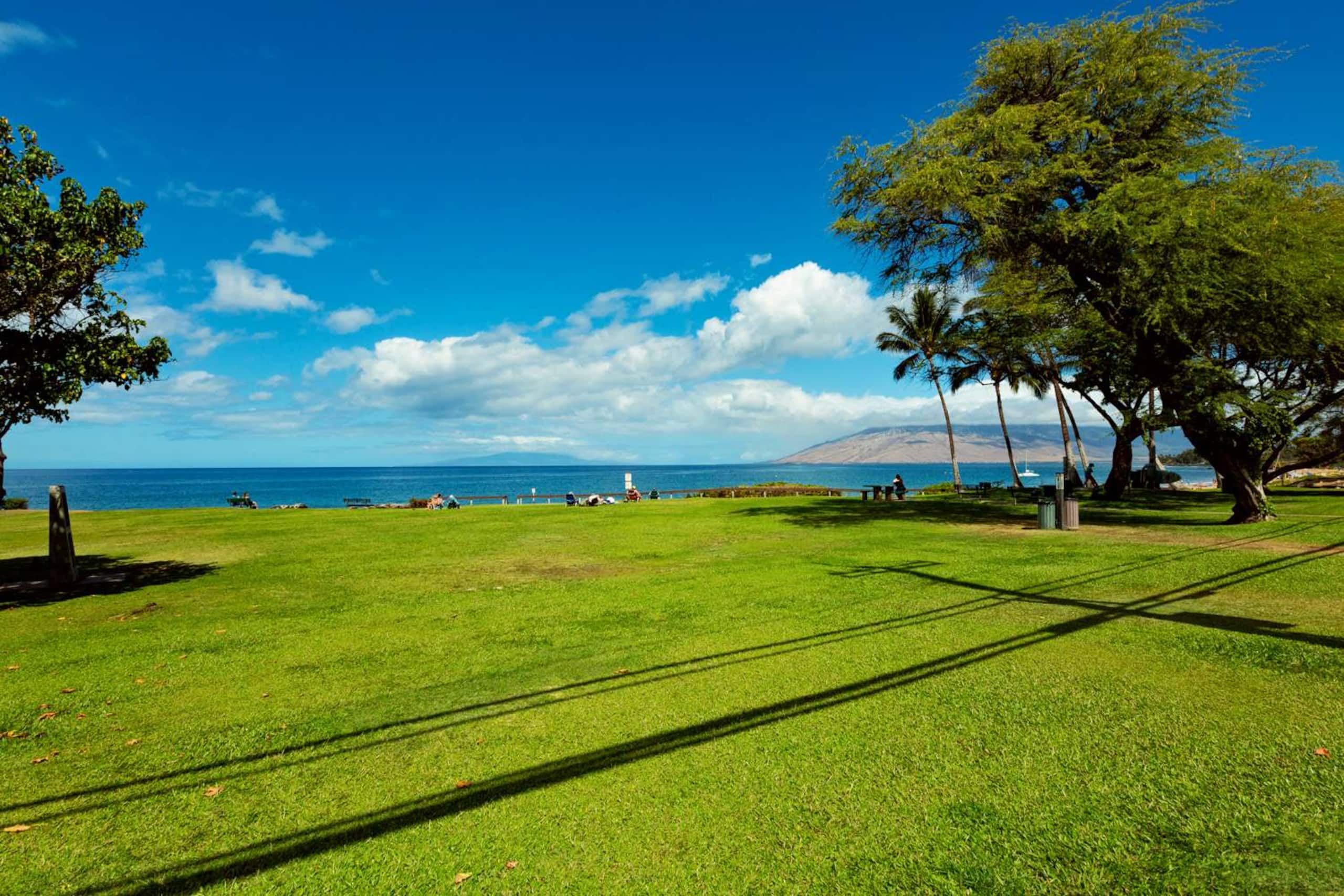 Condo in Kihei · ★4.83 · 2 bedrooms · 3 beds · 1 bath - Image 25