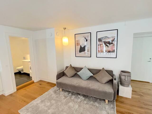 Spacious 2BR Apt Near Tivoli and The Glyptotek gallery image 3