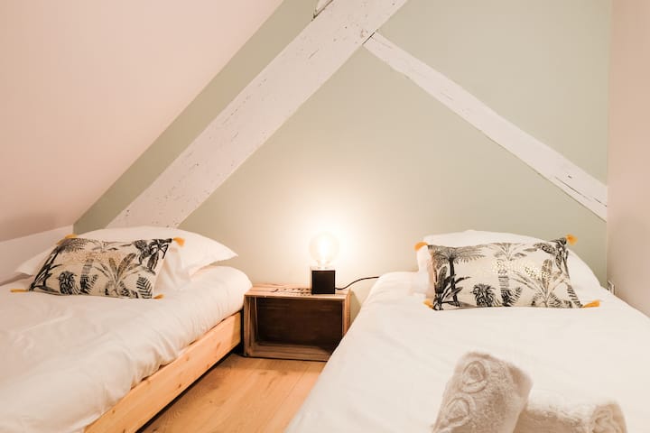 Rocher Blanc Duplex Rue Carnot 5 Min Du Lac ! I - Annecy