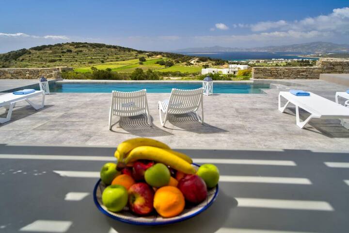 La Vitalite Luxury Villa in Paros gallery image 2