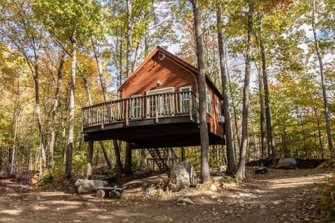 Maine Treehouse-The Spruce Suite