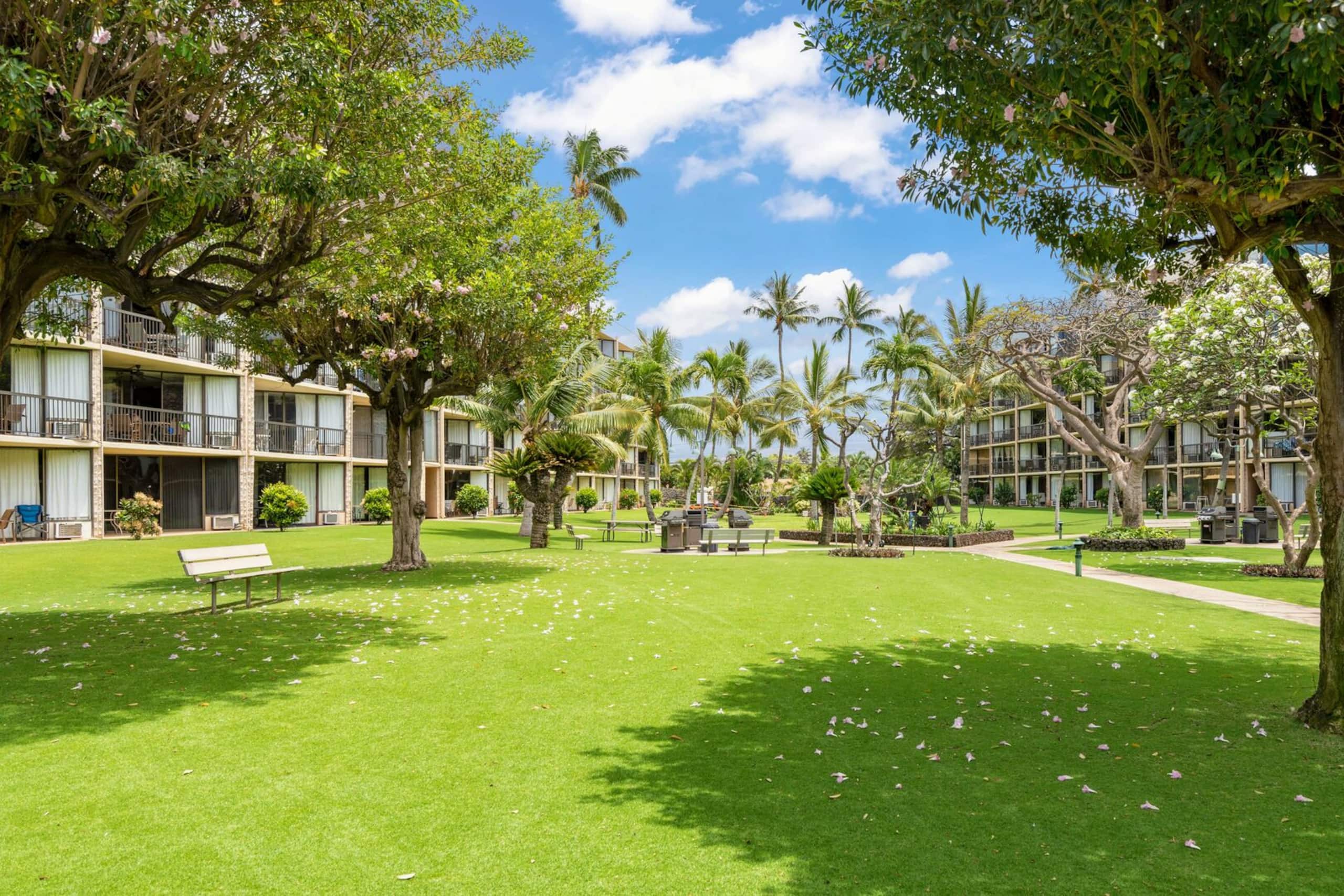 Condo in Kihei · ★4.64 · 1 bedroom · 3 beds · 2 baths - Image 25