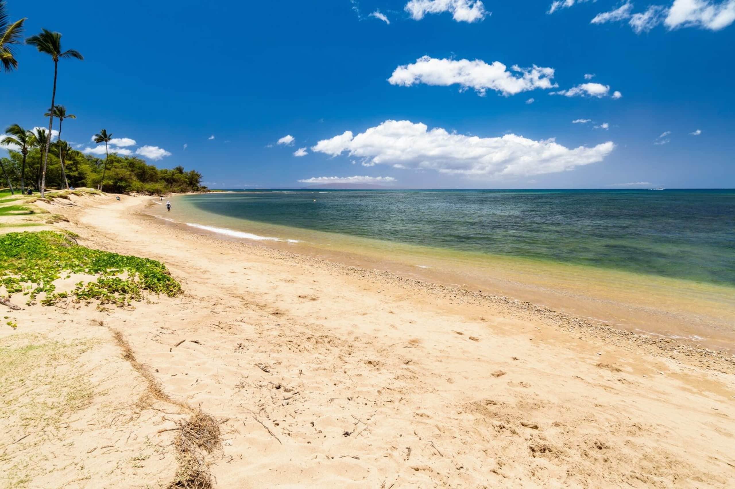 Condo in Kihei · ★4.64 · 1 bedroom · 3 beds · 2 baths - Image 35