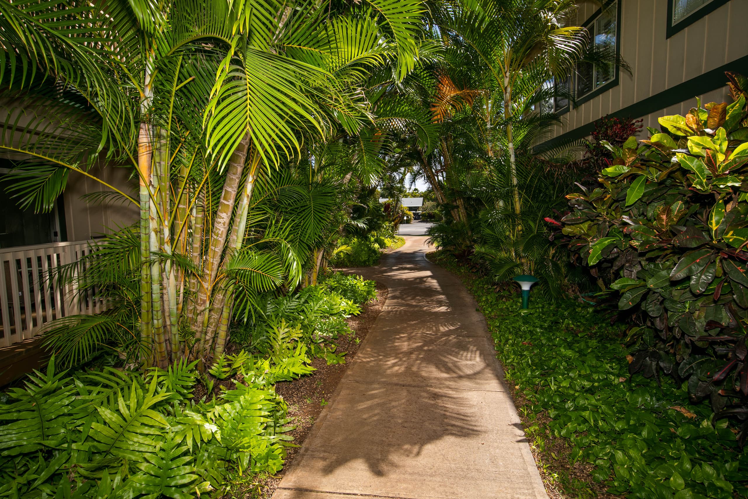 Condo in Koloa · ★4.75 · 2 bedrooms · 3 beds · 2 baths - Image 49