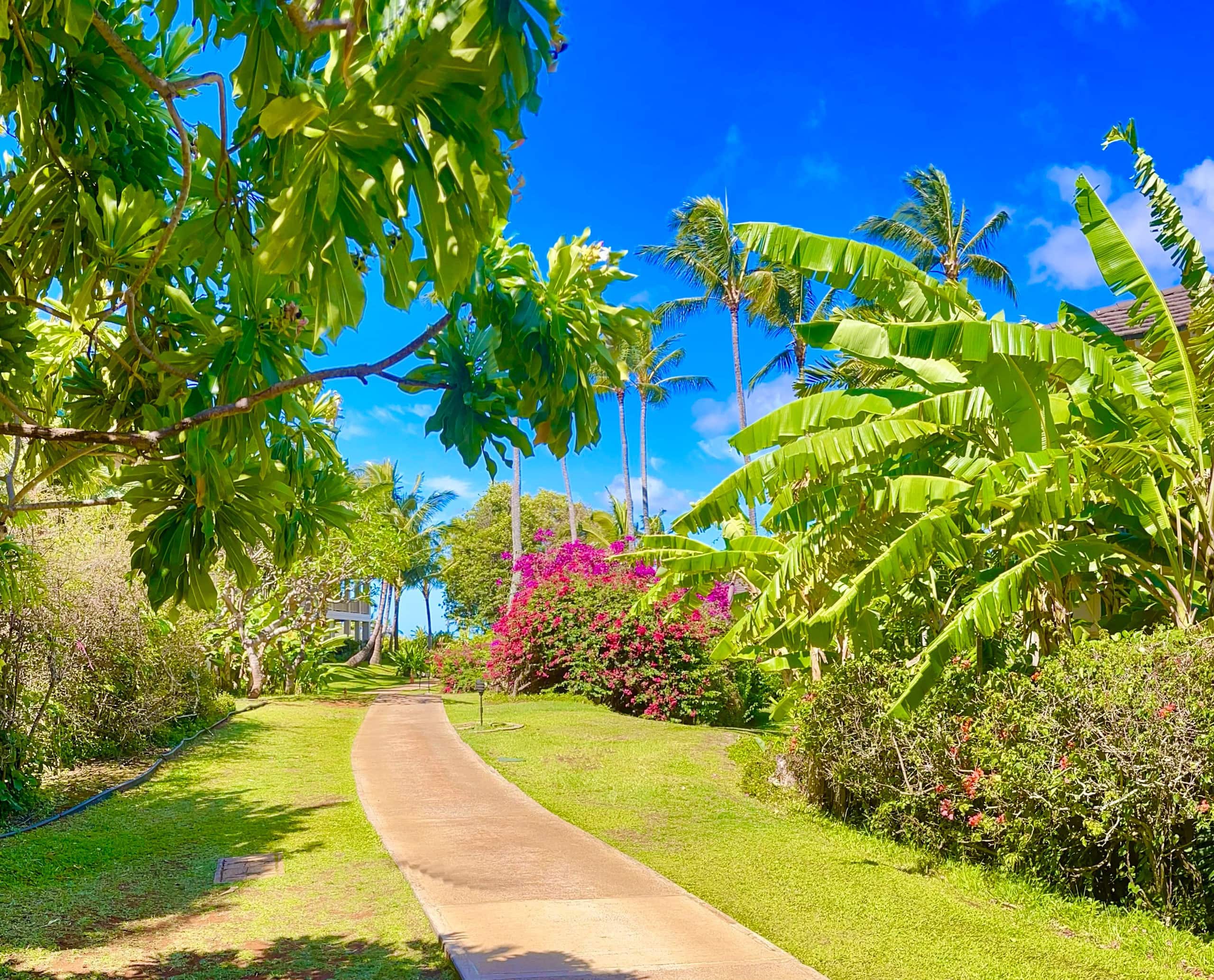 Condo in Koloa · ★4.75 · 2 bedrooms · 3 beds · 2 baths - Image 46