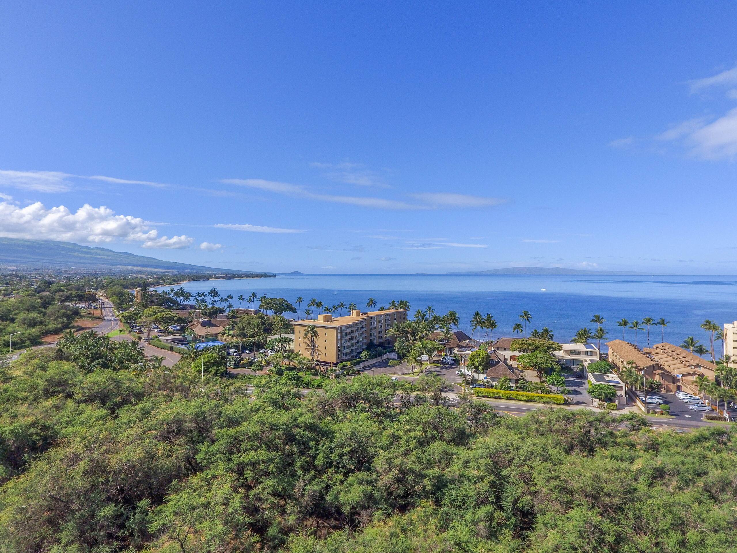 Condo in Kihei · ★4.89 · 1 bedroom · 2 beds · 2 baths - Image 40