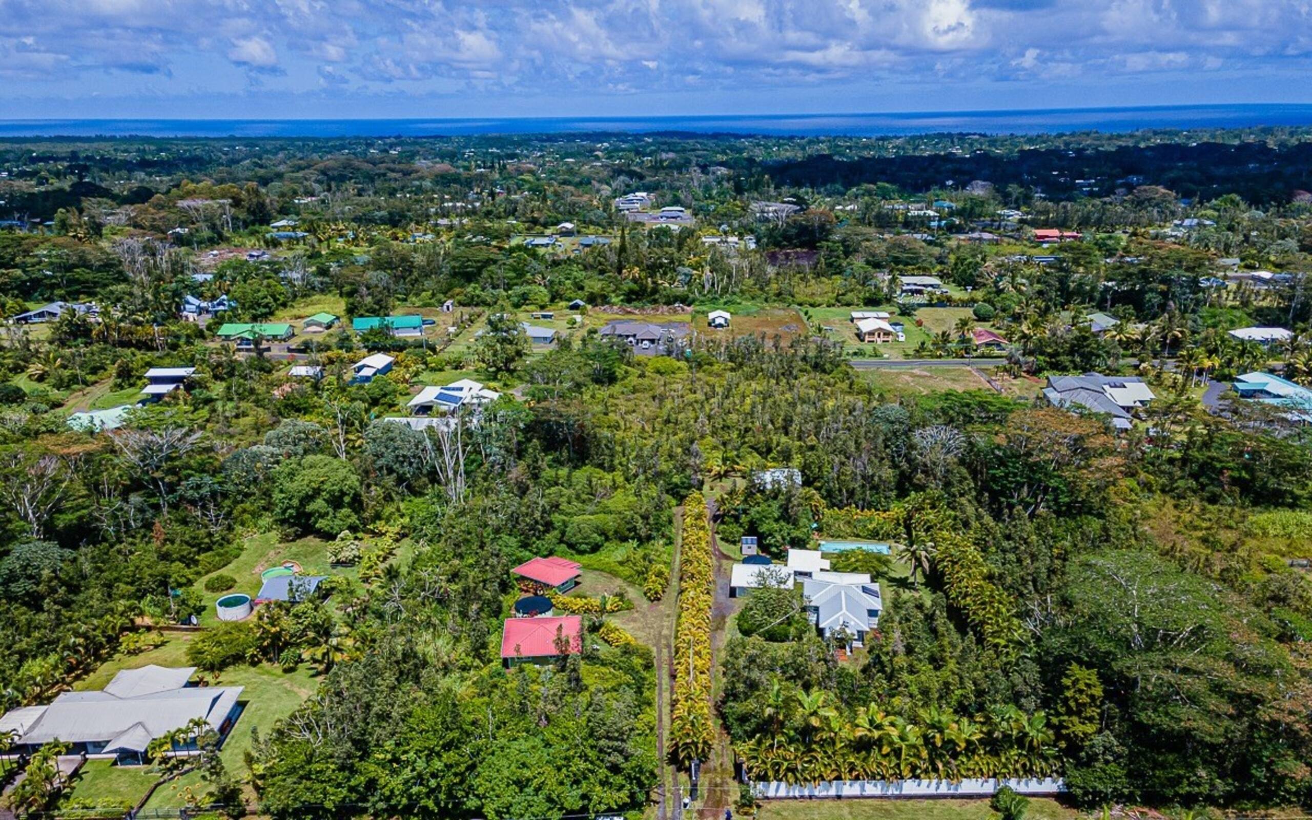 Jungle Studio Clean Comfy Affordable Near Hilo - Photo 12