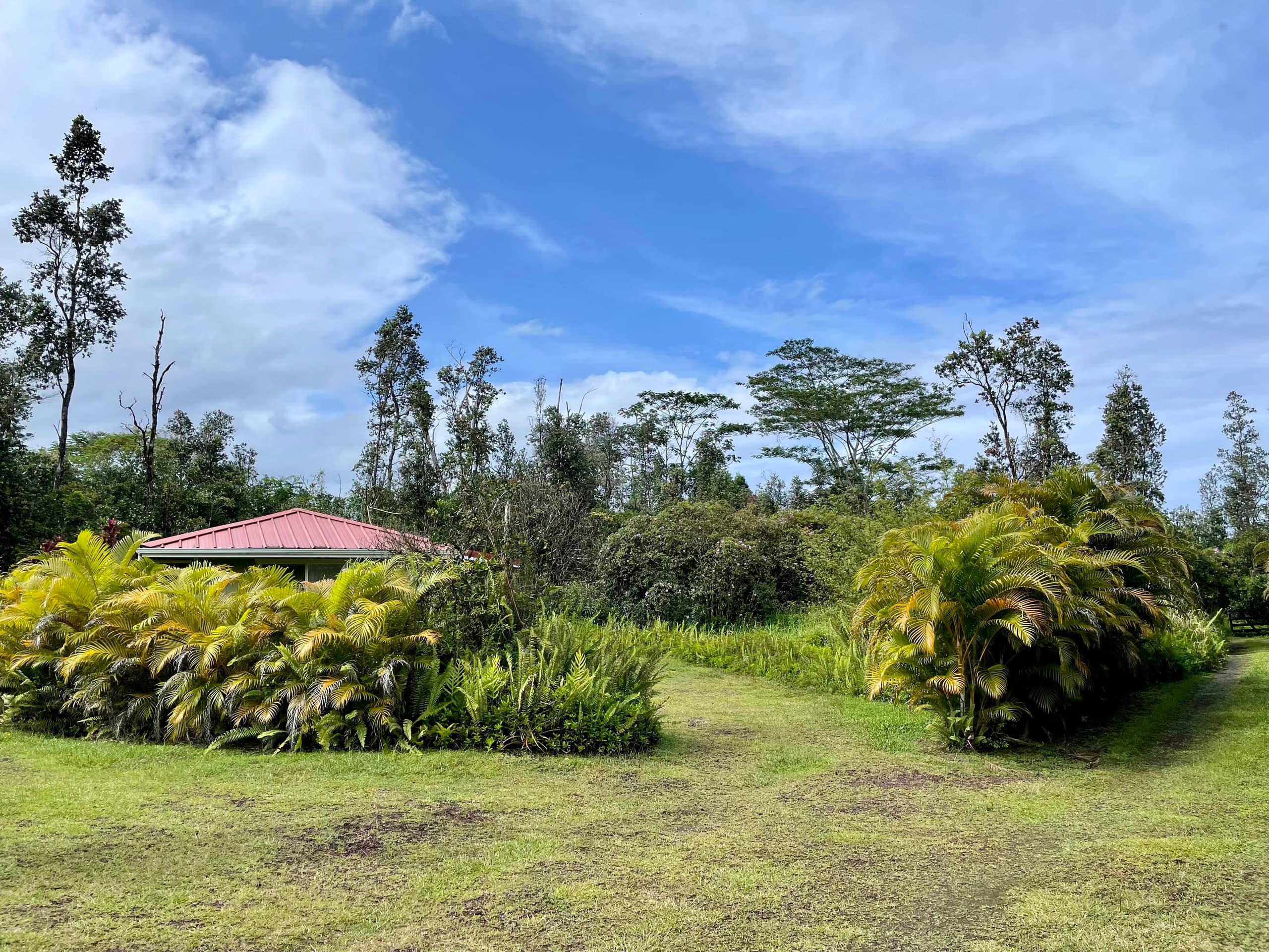 Jungle Studio Clean Comfy Affordable Near Hilo - Photo 17