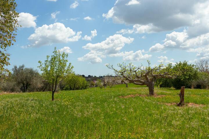 Trulli da Rosy gallery image 4