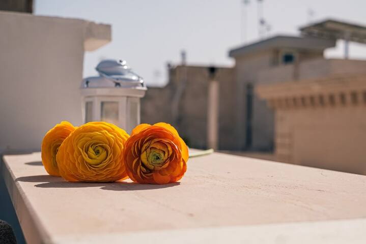 Don Nino – Sea View Terrace gallery image 5