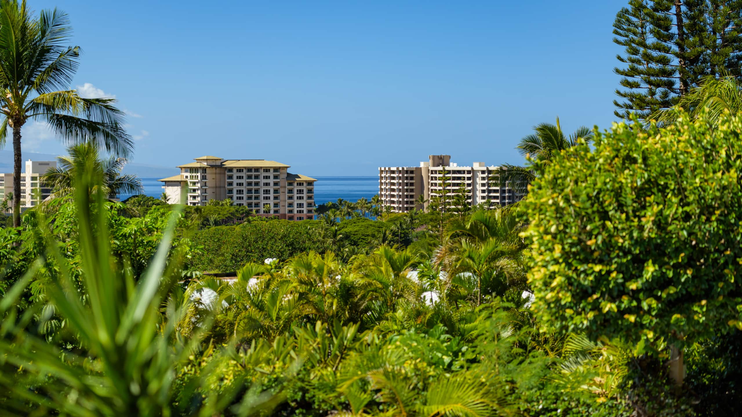 Home in Lahaina · ★4.85 · 5 bedrooms · 5 beds · 5.5 baths - Image 35