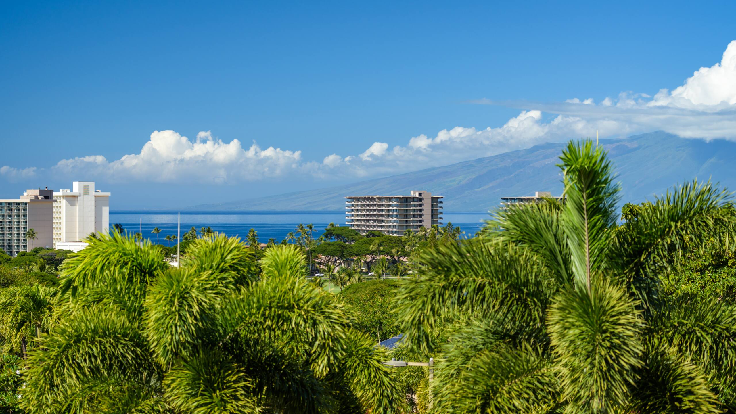 Home in Lahaina · ★4.85 · 5 bedrooms · 5 beds · 5.5 baths - Image 36