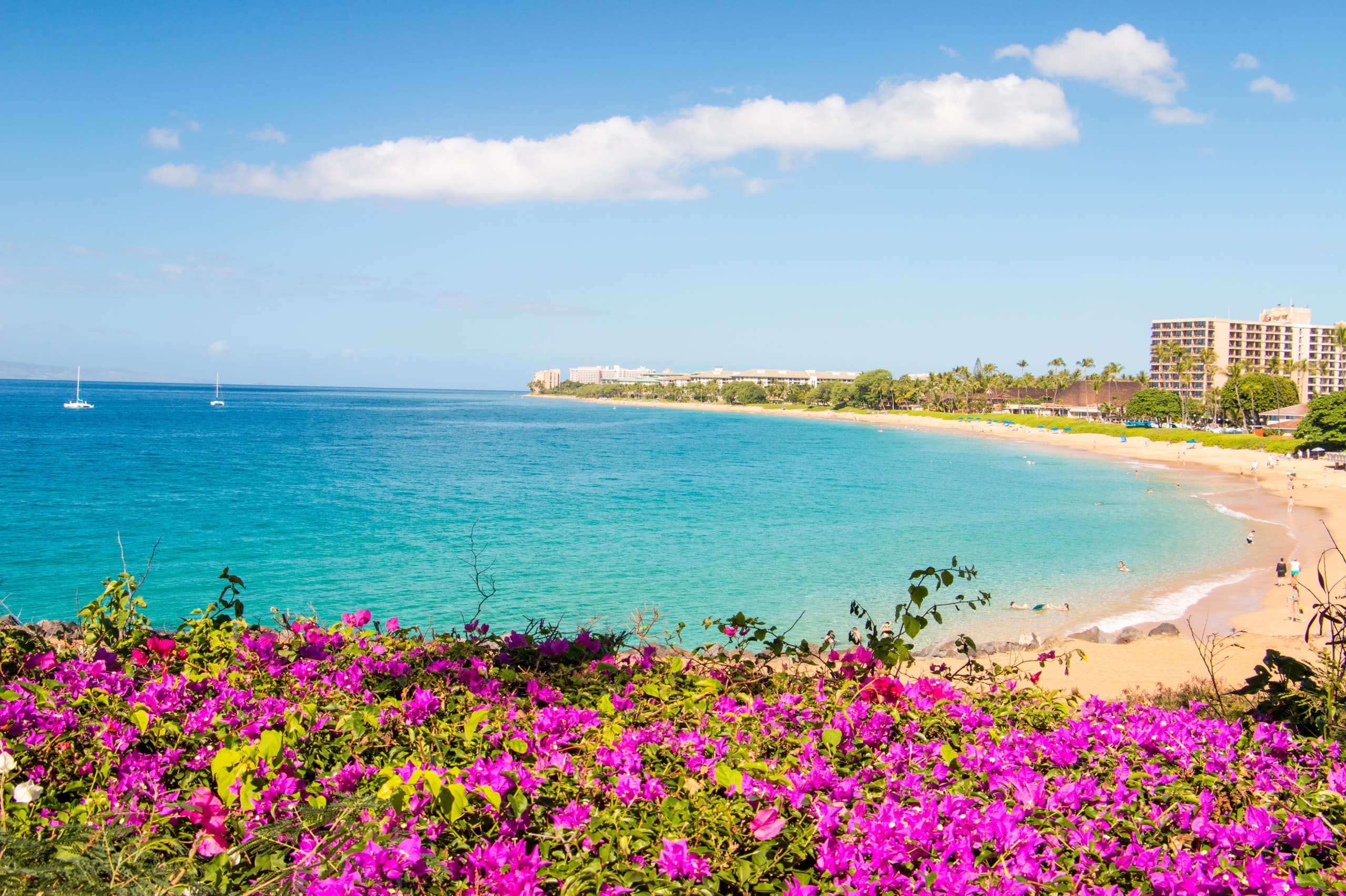 Home in Lahaina · ★4.85 · 5 bedrooms · 5 beds · 5.5 baths - Image 71