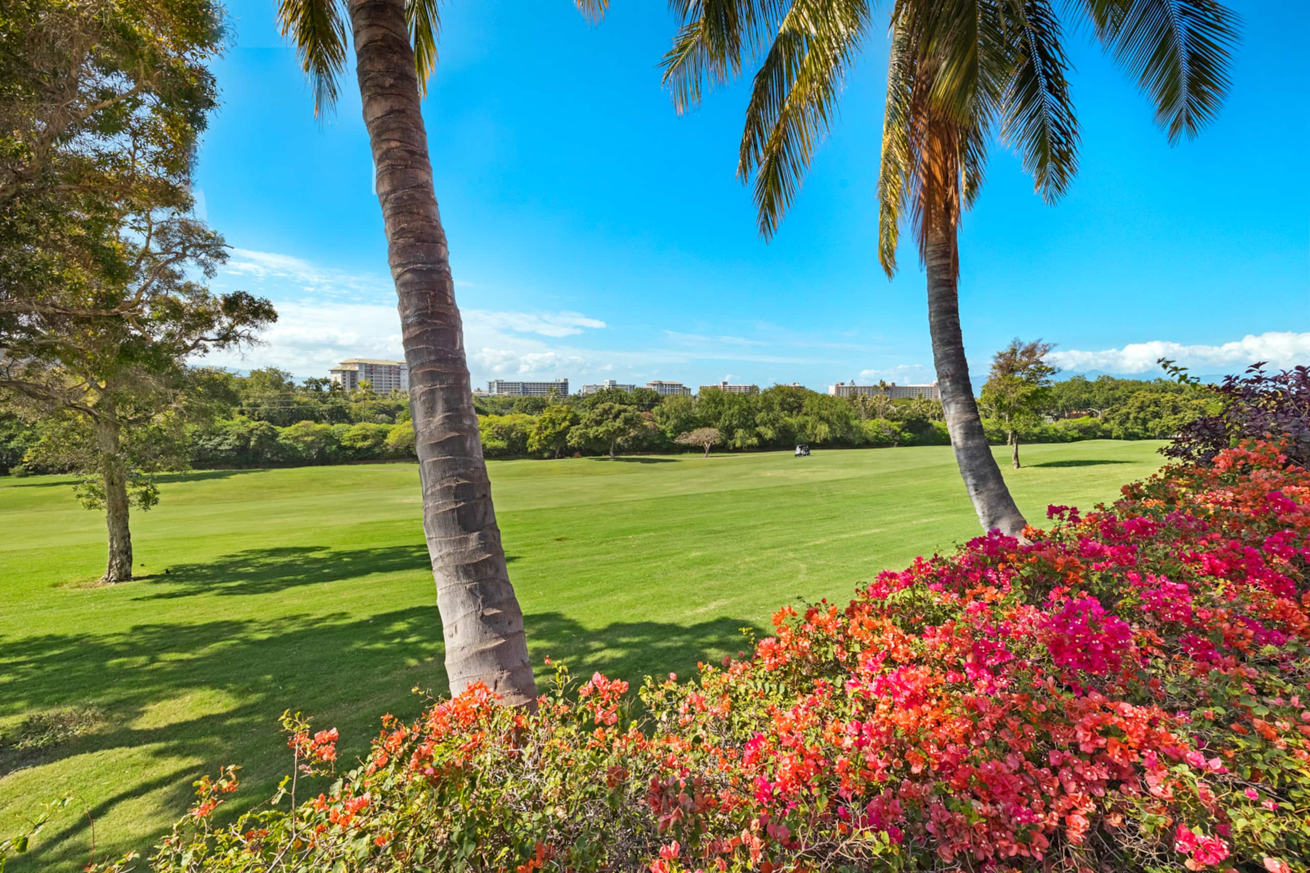 Home in Lahaina · ★4.83 · 6 bedrooms · 9 beds · 3 baths - Image 55