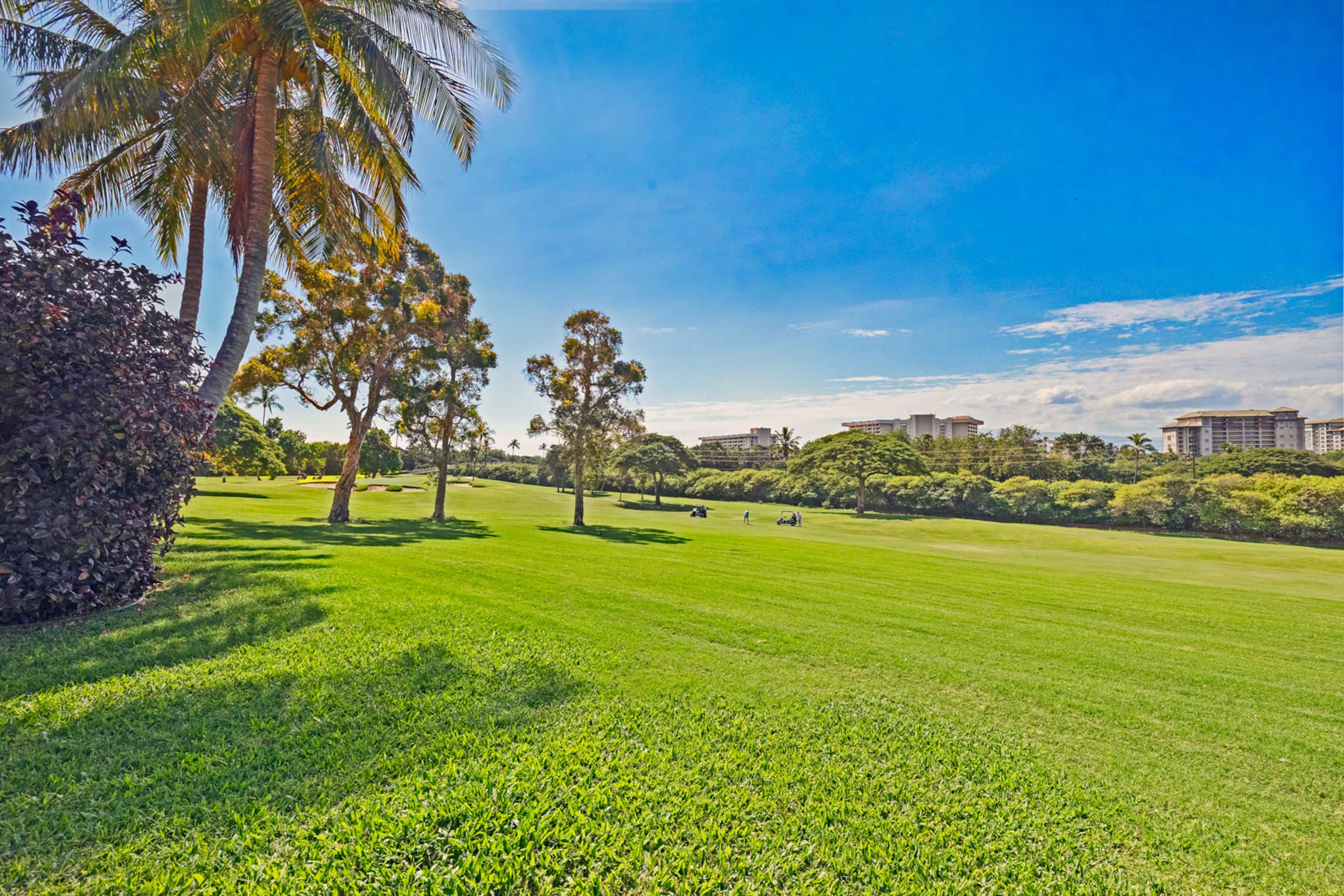 Home in Lahaina · ★4.83 · 6 bedrooms · 9 beds · 3 baths - Image 56