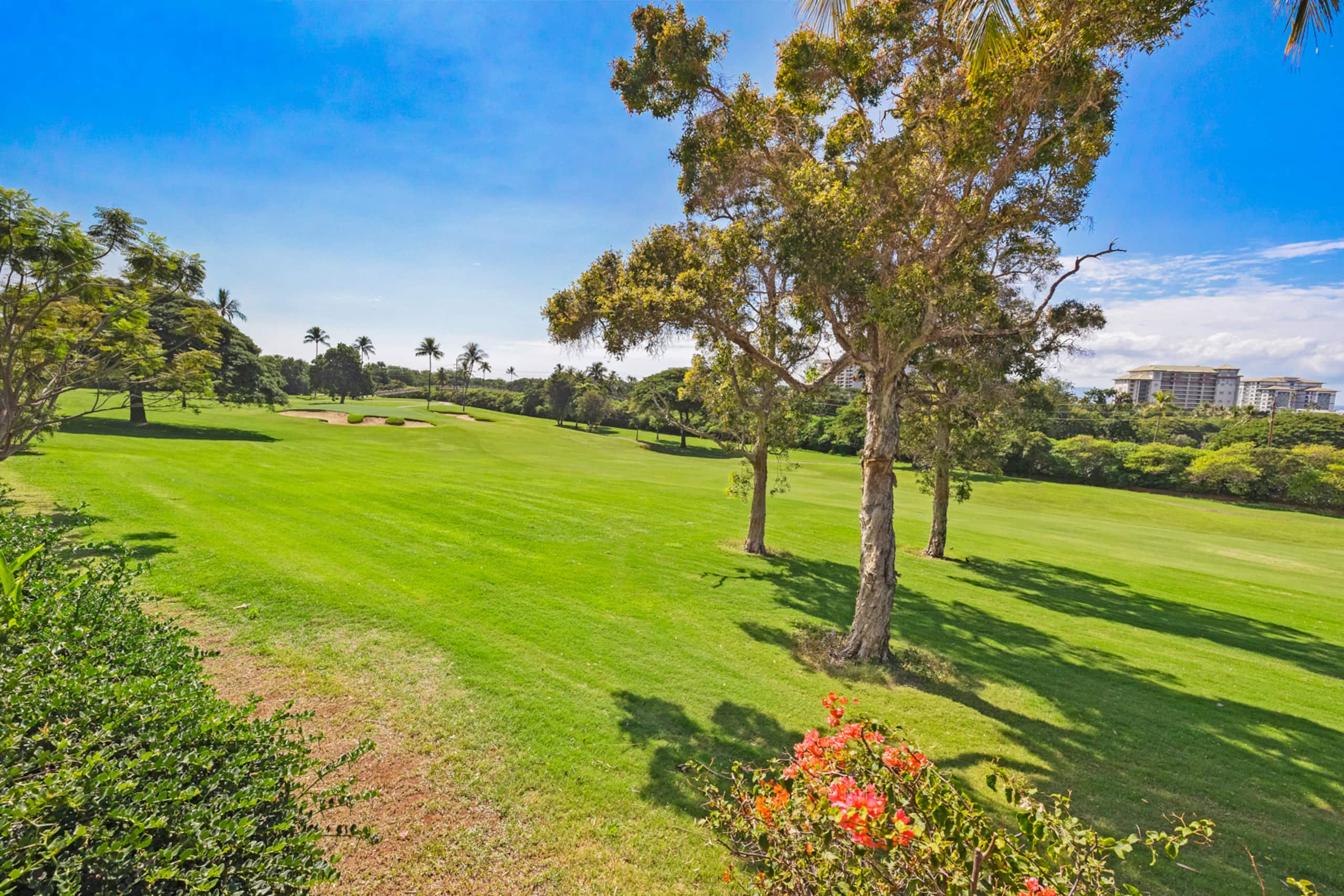 Home in Lahaina · ★4.83 · 6 bedrooms · 9 beds · 3 baths - Image 54