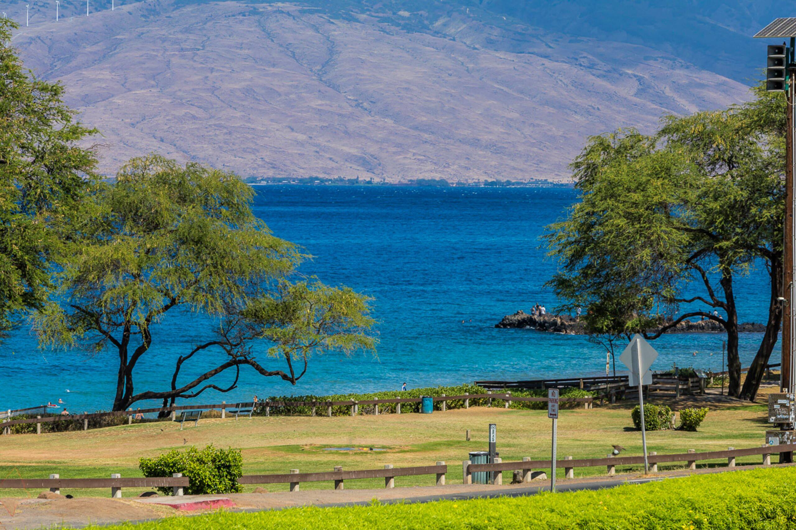 Condo in Kihei · ★4.5 · 2 bedrooms · 3 beds · 2 baths - Image 85