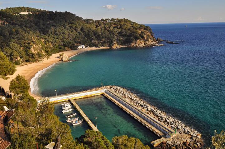 Sol Solet gallery image 5