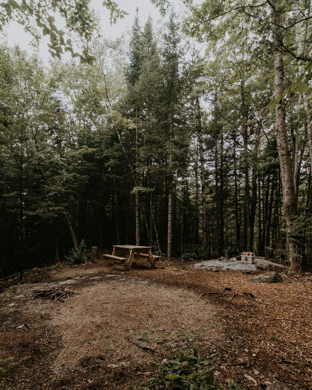 A wooded camping site is surrounded by tall trees, offering a sense of privacy. A picnic table is positioned on the gravel surface, while a fire pit is set nearby, with stones arranged around it. The ground is covered in leaves and natural debris.
