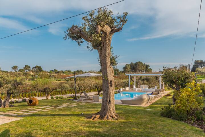 Trulli Terralunga gallery image 5