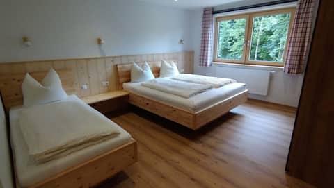 Organic Farm Haslbauer Holiday Apartment Schober