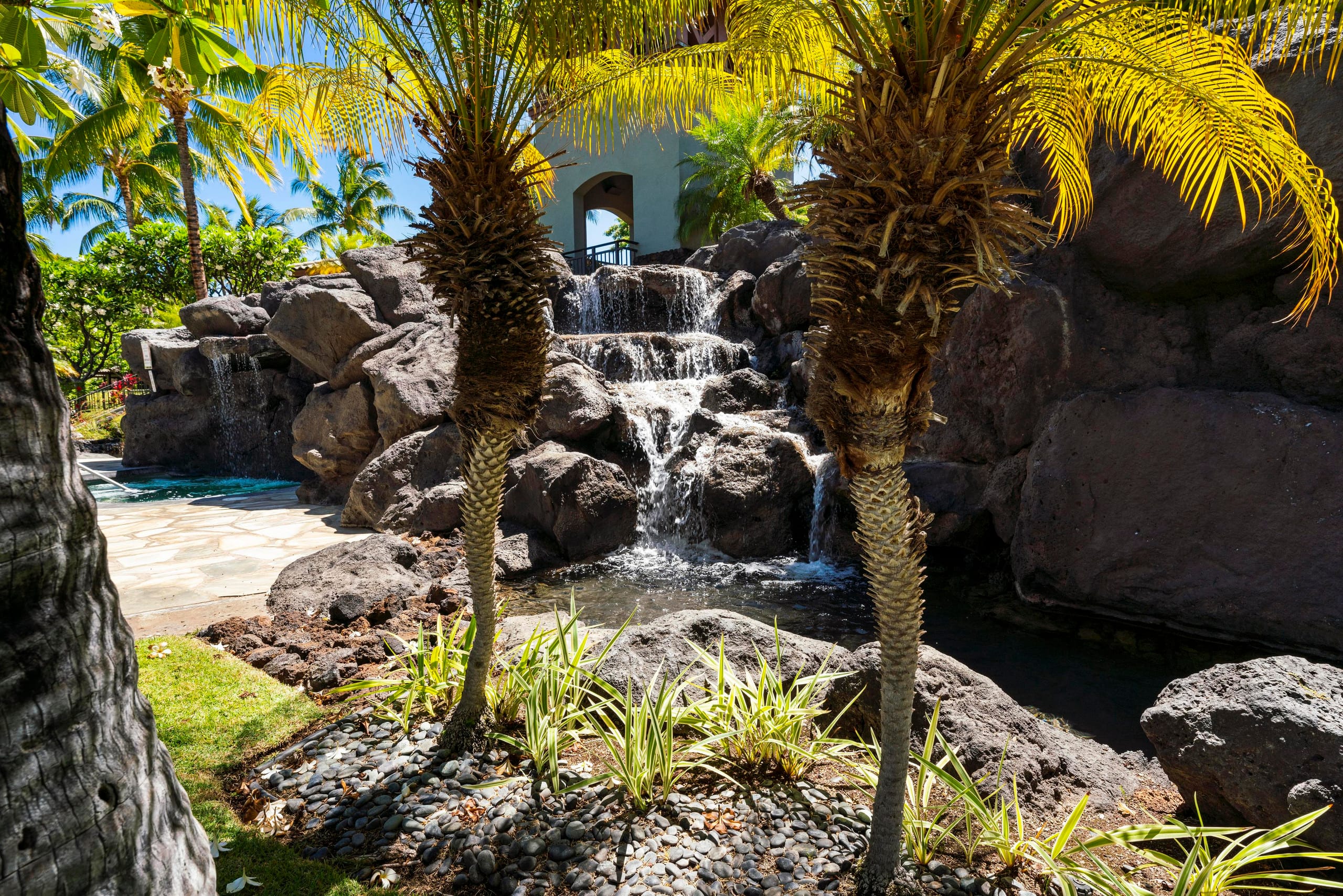 Townhouse in Waimea · ★4.94 · 3 bedrooms · 4 beds · 2.5 baths - Image 47